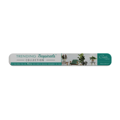 Trade show banner for Trending Tropicals Collection with plant display and brand logo